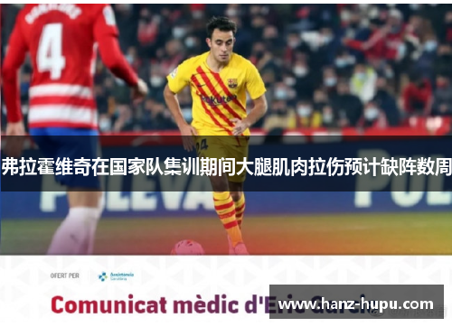 弗拉霍维奇在国家队集训期间大腿肌肉拉伤预计缺阵数周