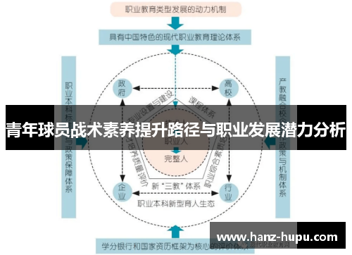 青年球员战术素养提升路径与职业发展潜力分析